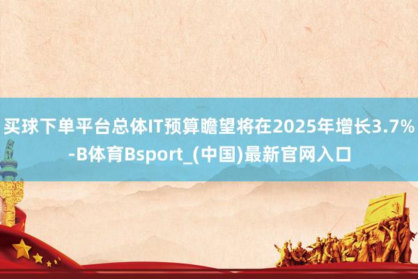 买球下单平台总体IT预算瞻望将在2025年增长3.7%-B体育Bsport_(中国)最新官网入口