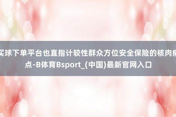 买球下单平台也直指计较性群众方位安全保险的核肉痛点-B体育Bsport_(中国)最新官网入口