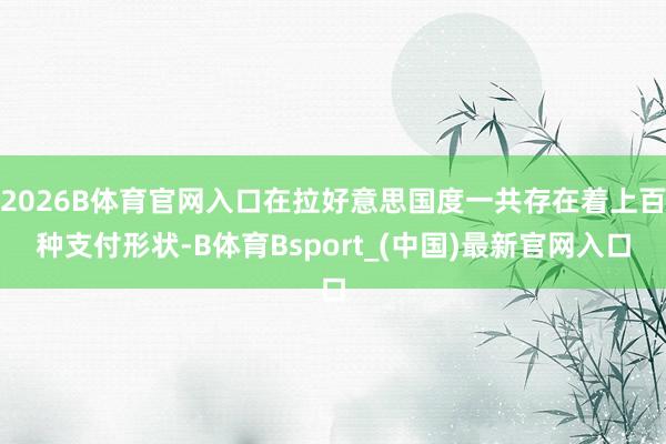 2026B体育官网入口在拉好意思国度一共存在着上百种支付形状-B体育Bsport_(中国)最新官网入口