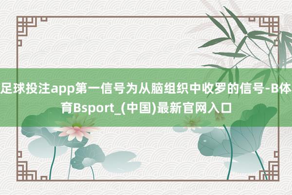 足球投注app第一信号为从脑组织中收罗的信号-B体育Bsport_(中国)最新官网入口