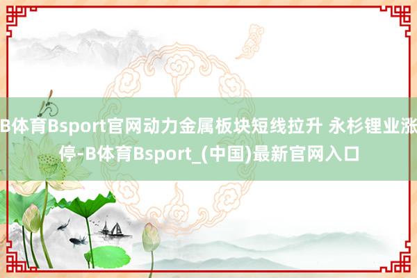 B体育Bsport官网动力金属板块短线拉升 永杉锂业涨停-B体育Bsport_(中国)最新官网入口