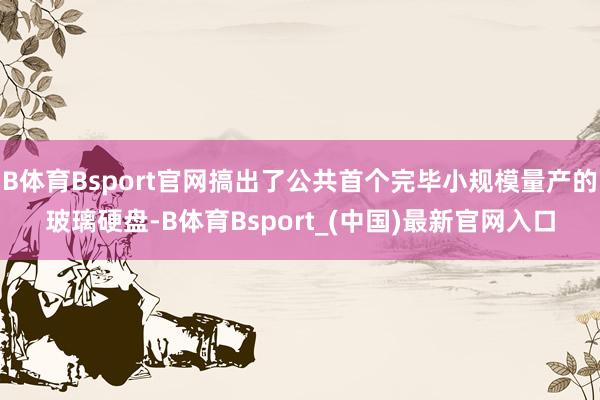 B体育Bsport官网搞出了公共首个完毕小规模量产的玻璃硬盘-B体育Bsport_(中国)最新官网入口