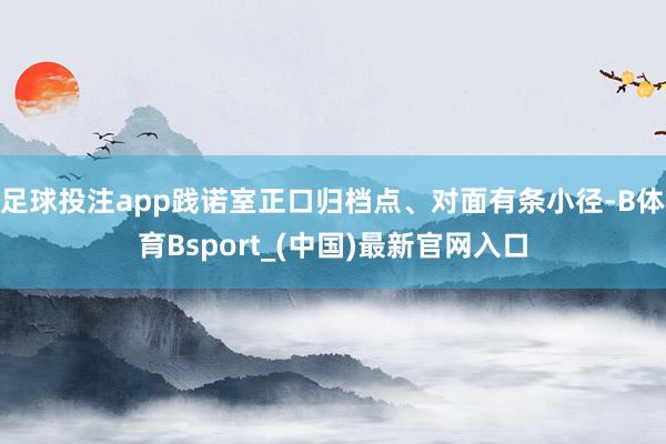足球投注app践诺室正口归档点、对面有条小径-B体育Bsport_(中国)最新官网入口