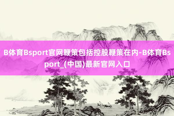 B体育Bsport官网鞭策包括控股鞭策在内-B体育Bsport_(中国)最新官网入口