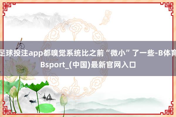足球投注app都嗅觉系统比之前“微小”了一些-B体育Bsport_(中国)最新官网入口