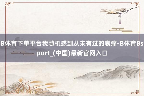B体育下单平台我随机感到从未有过的哀痛-B体育Bsport_(中国)最新官网入口