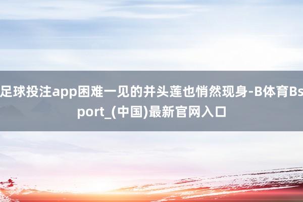 足球投注app困难一见的并头莲也悄然现身-B体育Bsport_(中国)最新官网入口