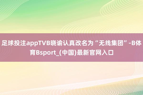 足球投注appTVB晓谕认真改名为“无线集团”-B体育Bsport_(中国)最新官网入口