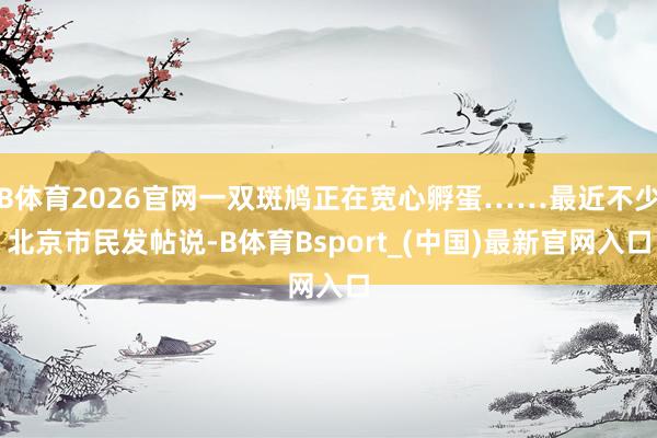 B体育2026官网一双斑鸠正在宽心孵蛋……最近不少北京市民发帖说-B体育Bsport_(中国)最新官网入口