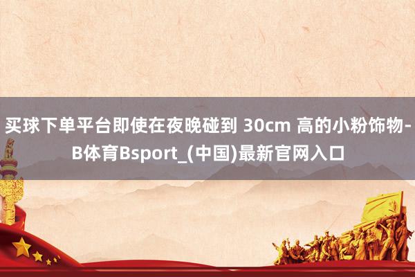买球下单平台即使在夜晚碰到 30cm 高的小粉饰物-B体育Bsport_(中国)最新官网入口