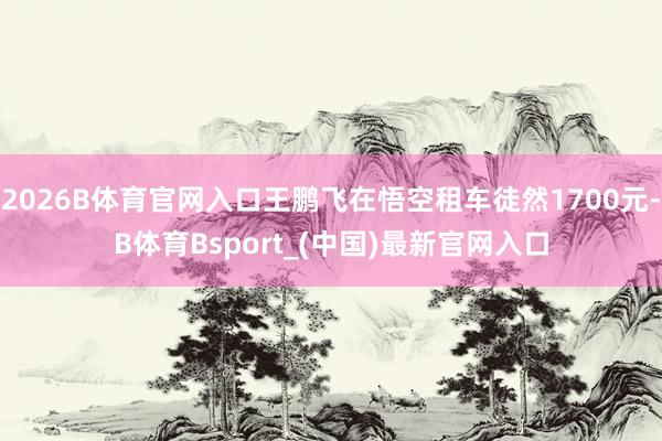 2026B体育官网入口王鹏飞在悟空租车徒然1700元-B体育Bsport_(中国)最新官网入口