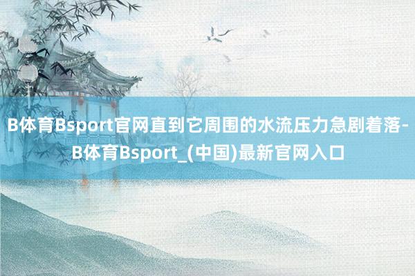 B体育Bsport官网直到它周围的水流压力急剧着落-B体育Bsport_(中国)最新官网入口
