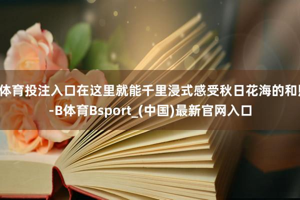 B体育投注入口在这里就能千里浸式感受秋日花海的和煦-B体育Bsport_(中国)最新官网入口