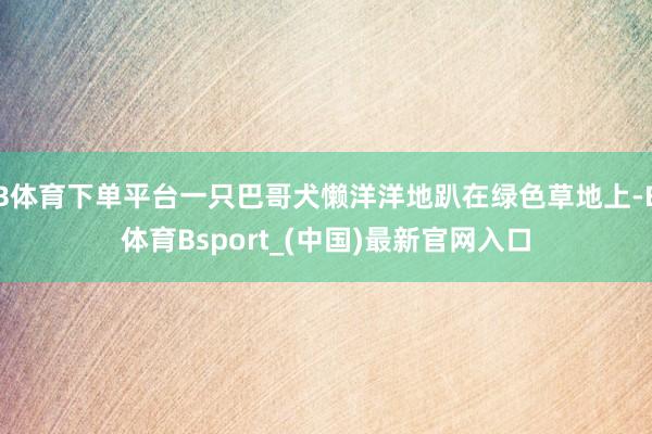 B体育下单平台一只巴哥犬懒洋洋地趴在绿色草地上-B体育Bsport_(中国)最新官网入口