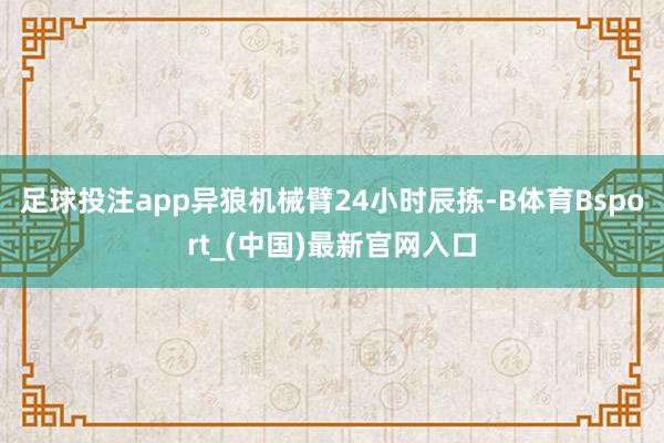 足球投注app异狼机械臂24小时辰拣-B体育Bsport_(中国)最新官网入口