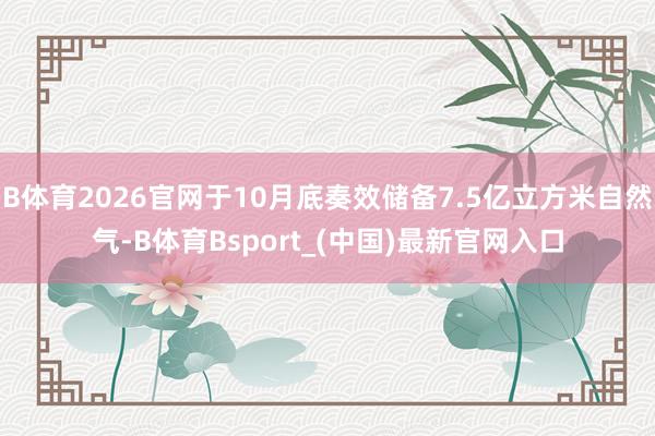 B体育2026官网于10月底奏效储备7.5亿立方米自然气-B体育Bsport_(中国)最新官网入口