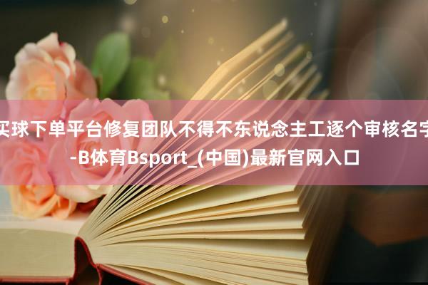 买球下单平台修复团队不得不东说念主工逐个审核名字-B体育Bsport_(中国)最新官网入口