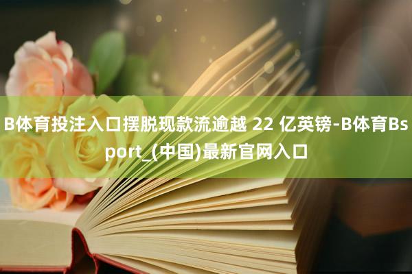 B体育投注入口摆脱现款流逾越 22 亿英镑-B体育Bsport_(中国)最新官网入口