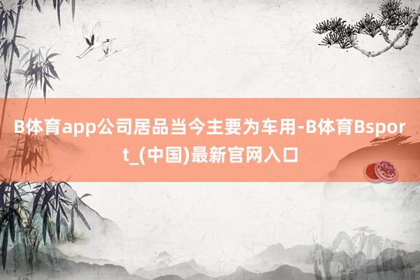 B体育app公司居品当今主要为车用-B体育Bsport_(中国)最新官网入口