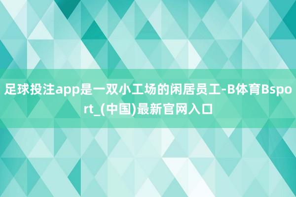 足球投注app是一双小工场的闲居员工-B体育Bsport_(中国)最新官网入口